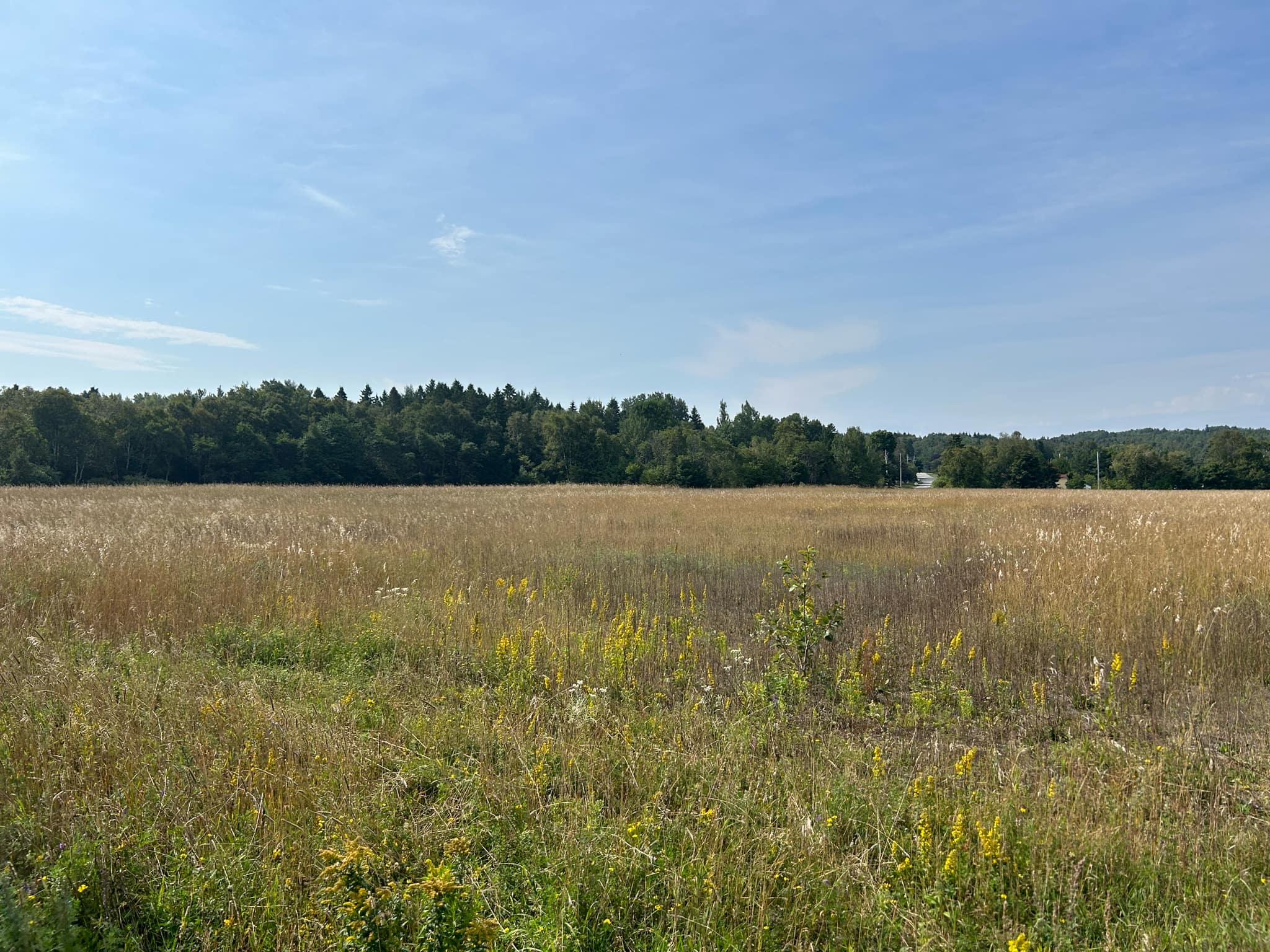 Projet majeur au Bic pour lutter contre la pénurie de logements