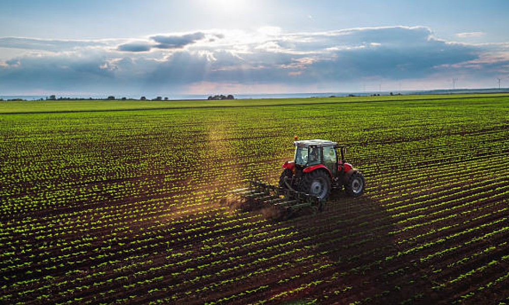 Un premier bilan relativement favorable pour l'agriculture au Bas-St-Laurent